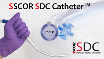 SDC-home-page-banner-2025-2